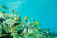 Maui Condos for Sale & Maui Real Estate in Lahaina West Maui at The Breakers West Maui